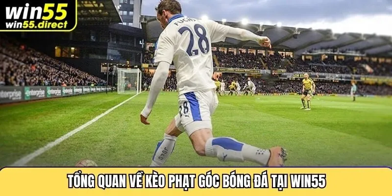 Tổng quan về kèo phạt góc bóng đá tại Win55