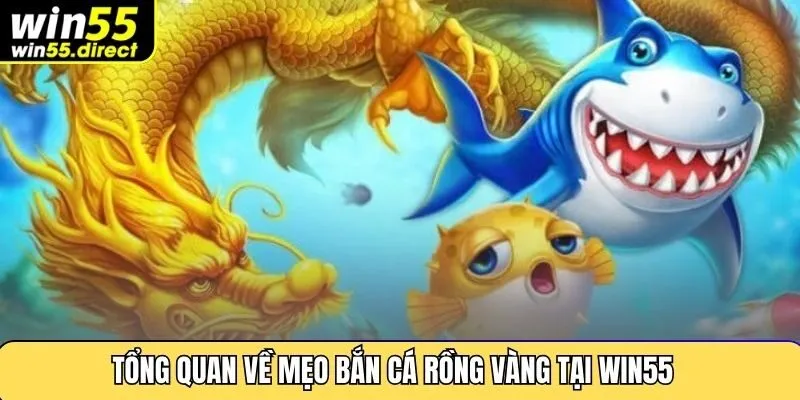 Tổng quan về mẹo bắn cá rồng vàng tại Win55